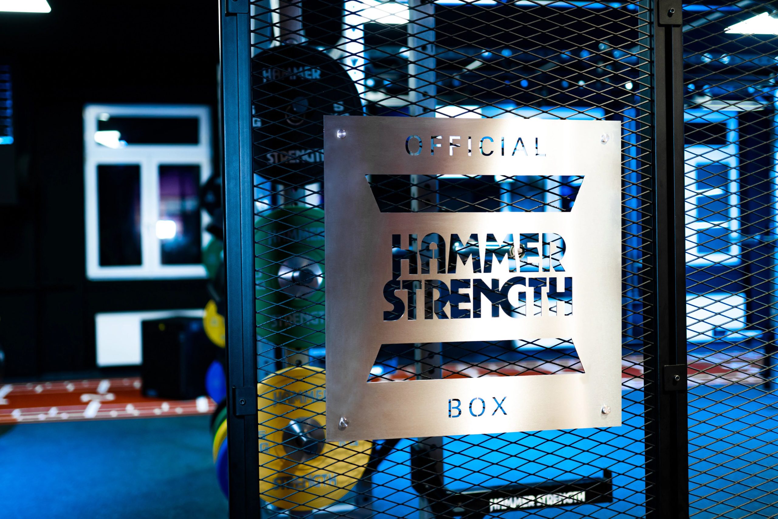 Bilde av logo til hammer strength box