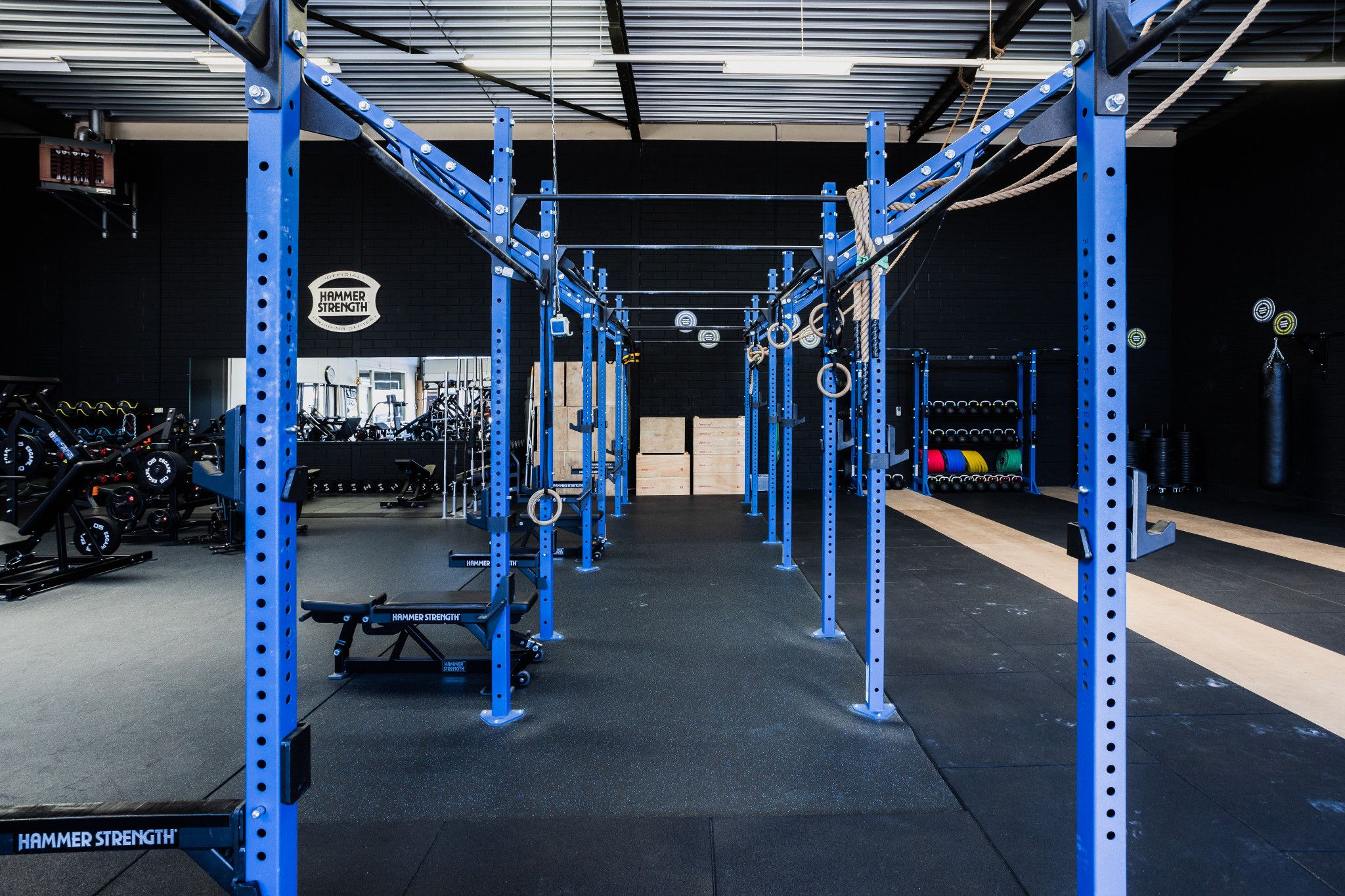 Hammer Strength racks