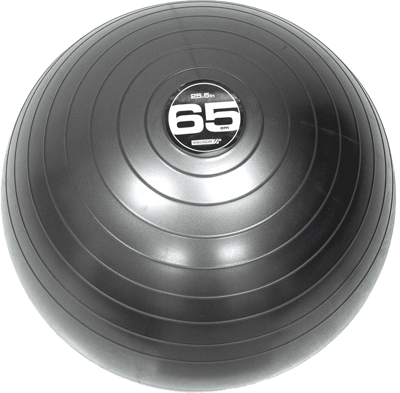 steadyballpro65_fril.png