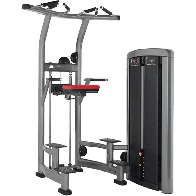 Insignia series Assist Dip Chin